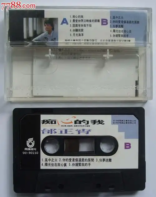 邰正宵-痴心的我