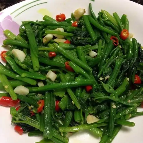 手机用户5898_jopc做的清炒南瓜苗