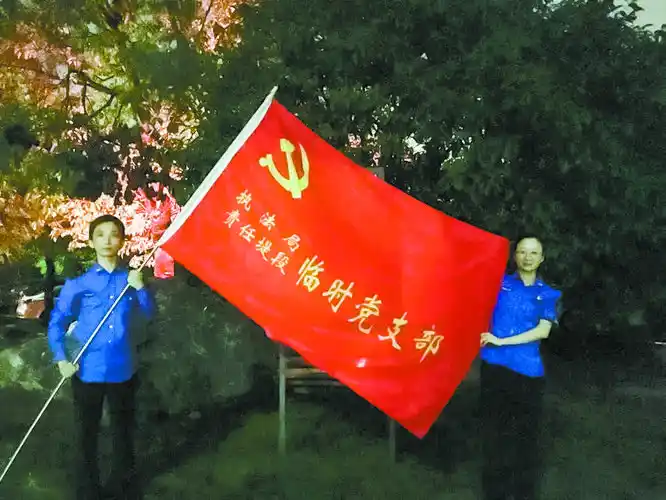 闻汛而动组建临时党支部