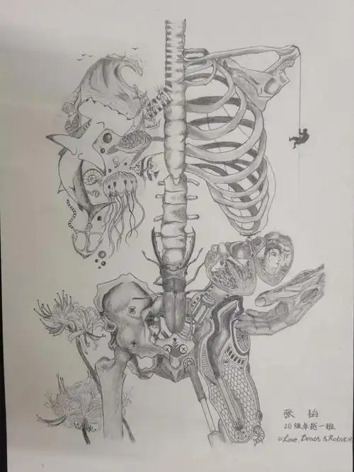 动物科技学院举办正邦杯动物解剖学专业绘画大赛