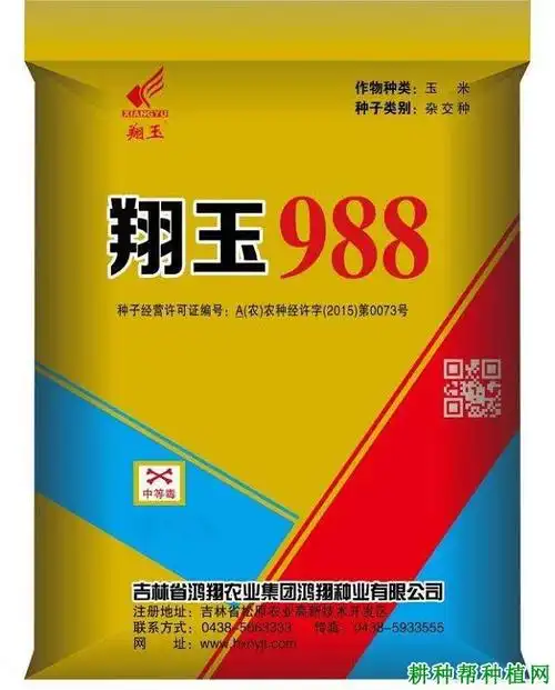 翔玉988玉米品种好不好
