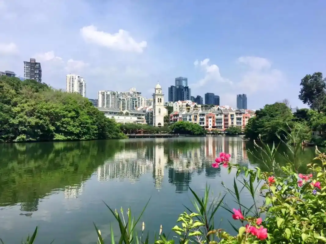 今日美宅:华侨城纯水岸十五期.华侨城片区纯水岸十五期,建筑面 - 抖音