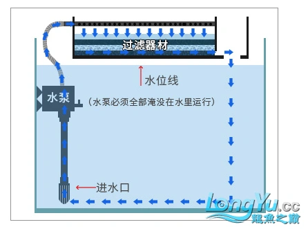 鱼缸过滤方式