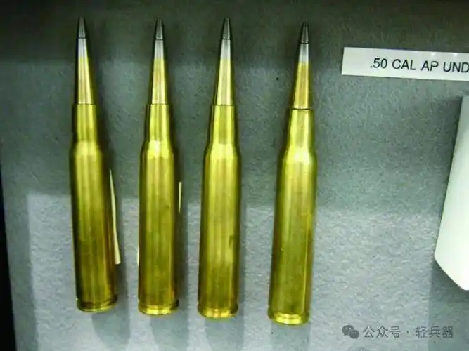 挪威dsg公司多环境弹药系统能在水中表现如何