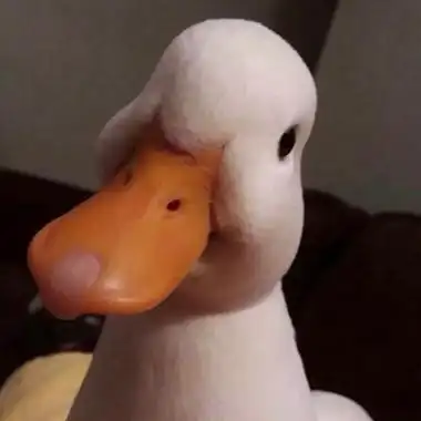 史上最沙雕单人头像