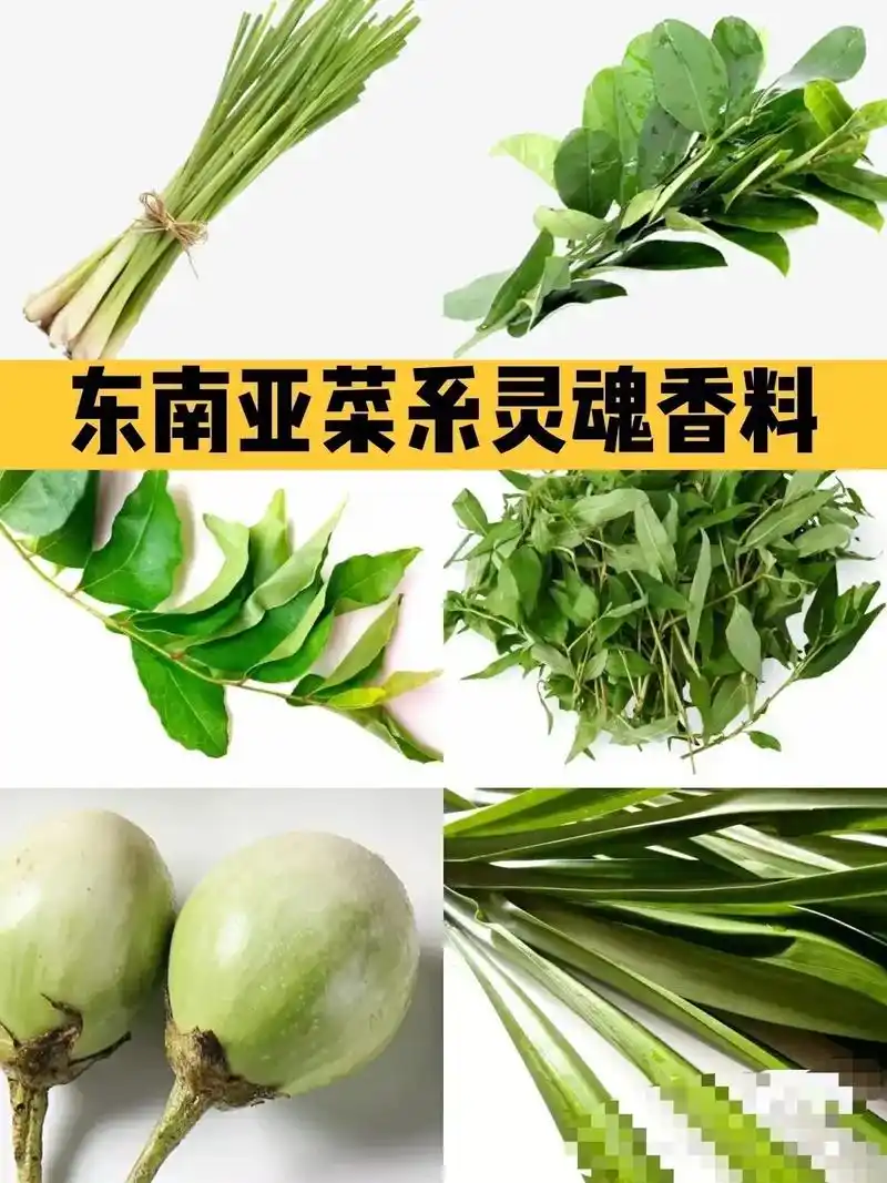 泰国菜常用香草大全 culantro 刺芹(泰国香菜)nnt - 抖音