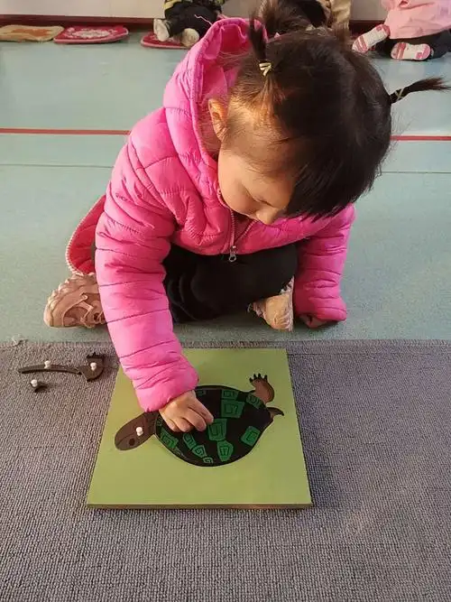 工作名称——乌龟嵌板