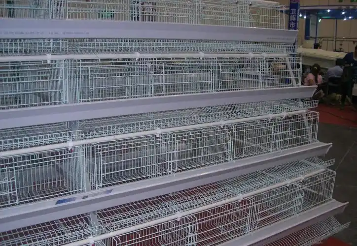 贵阳蛋鸡笼 贵阳蛋鸡笼批发 贵阳蛋鸡笼价格 贵阳蛋