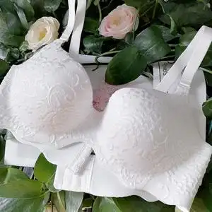 白色蕾丝内衣女士性感聚拢胸罩夏季一片式无痕无钢圈文胸薄款透气
