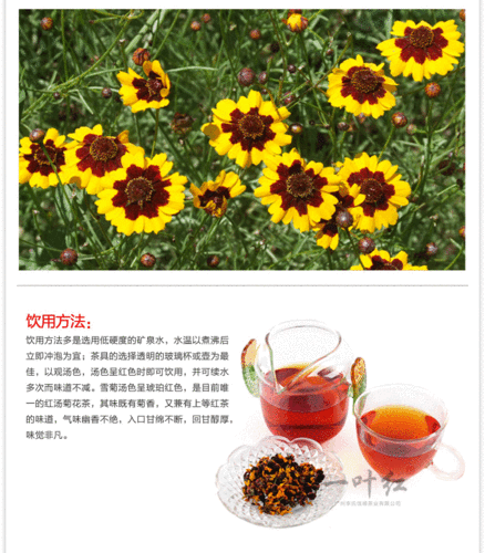 昆仑雪菊提取物天山雪菊冰山雪菊