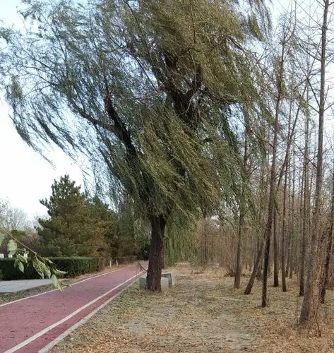 没有雾霾的天气真好