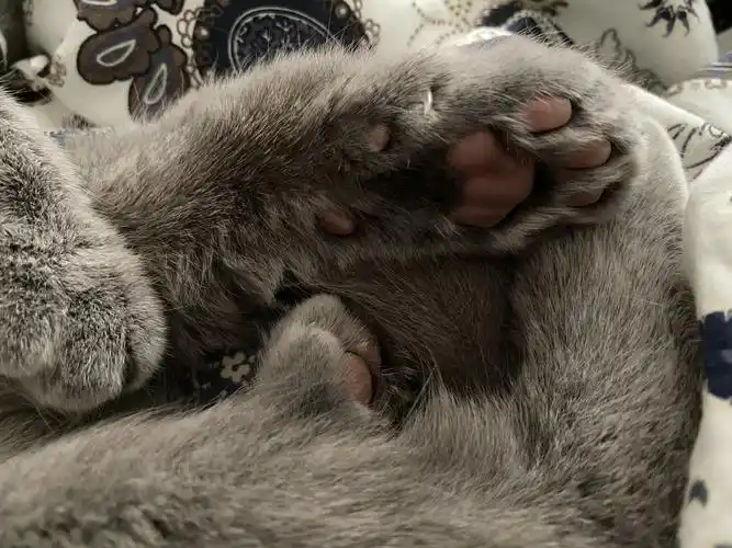 觉得好看请回馈一张你们的jiojio照片.[56]收藏该贴已收藏只看楼主