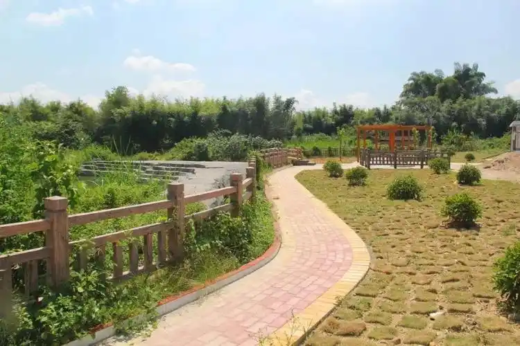 厉害!怀集冷坑爱二村变化让人惊叹