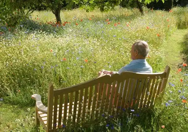 十日谈|老人与春天