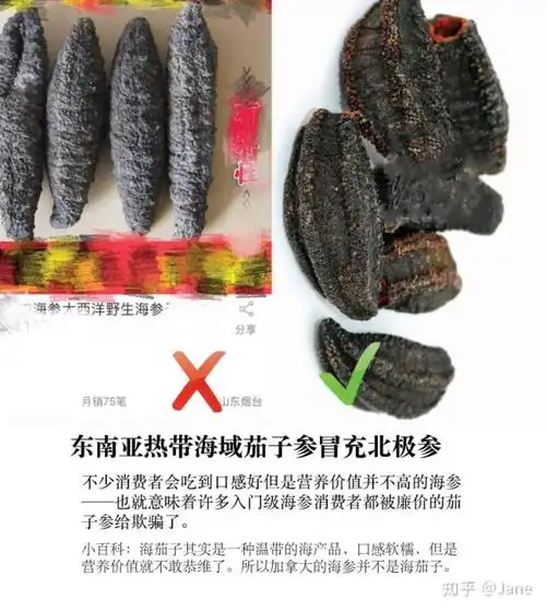 市面上那么多海参自称是加拿大出产真正来自于加拿大的海参是哪几个