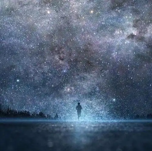 泽塔网罟座(zeta reticuli ): 这个文明与地球紧密相连.