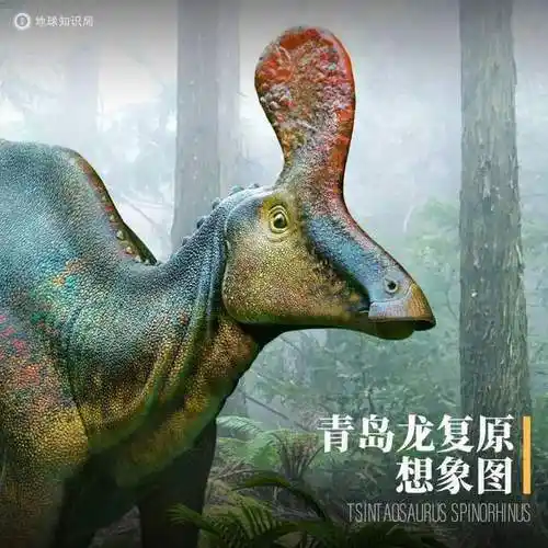 地球知识局|莱阳|山东省|恐龙化石_网易订阅