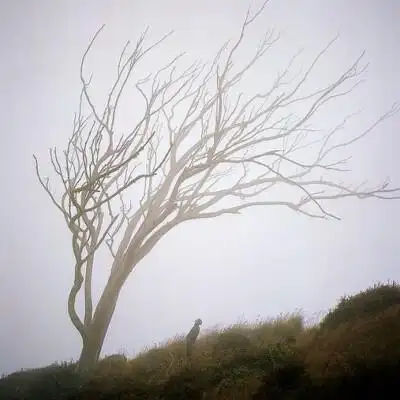 意境头像 小清新头像 by活力柠檬酱