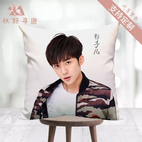x玖少年团郭子凡同款周边小欢喜季杨杨抱枕极限17滑魂杨步凡靠枕