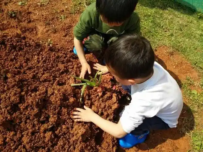 行动起来,争做护绿小能手——万隆乡幼儿园中班组种植体验活动