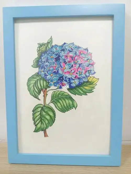 绣球花临摹马克笔画