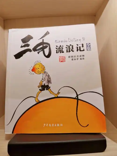 三毛流浪记  #书籍