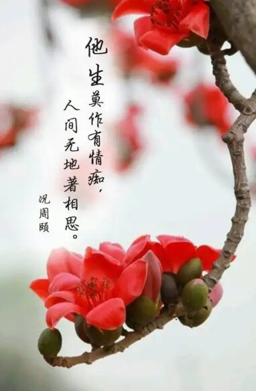 大约在冬季,一颗炙热的心在寒冷的阑珊灯火处被撩起!