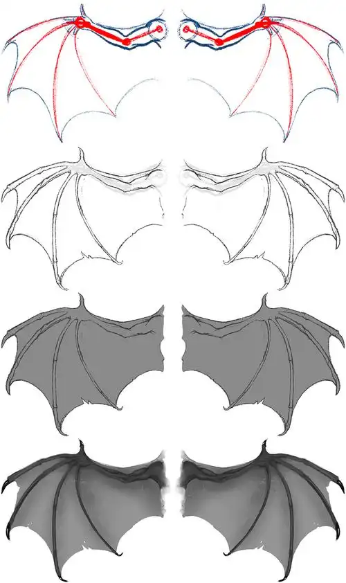 翅膀怎么画简单又漂亮?(各种漂亮翅膀的画法教程图解)