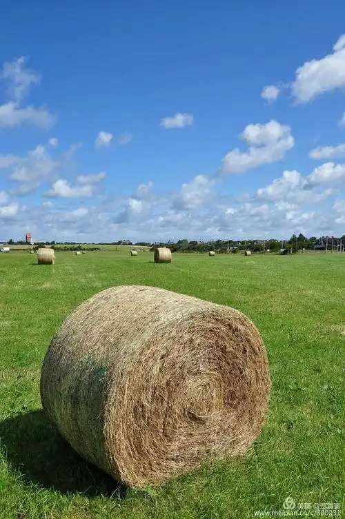 去德国sylt岛度假