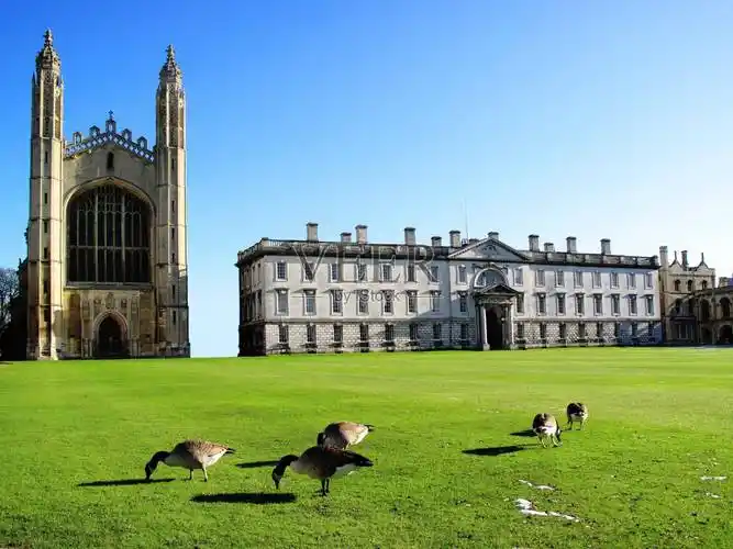 剑桥大学国王学院·博士后项目简章_研究公司_中国企业家_英国