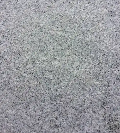 芝麻白601火烧面