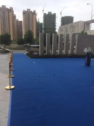 蓝色地毯紫色地毯舞台地毯活动婚庆地毯一次性地毯