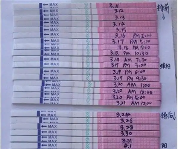 秀儿排卵试纸变化图