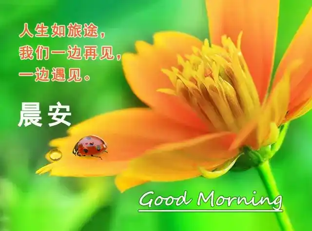 早上好的问候美句励志正能量早安句子很经典的朋友圈早安图片励志