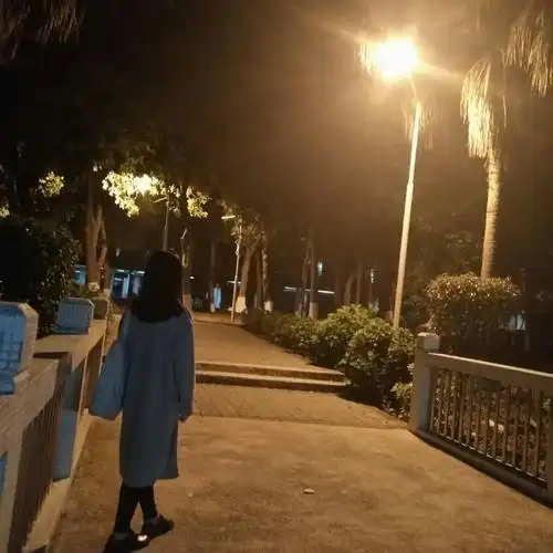 行走在汕头大学的校道 路灯 行人 自拍