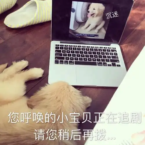 萌宠 汪星人 您呼唤的小宝贝正在追剧 请您稍后再拨 呆萌 可爱