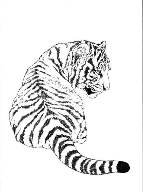 白描《老虎》手稿