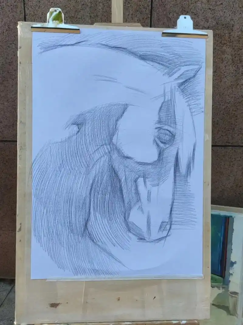 马头.#素描 #动物素描 #画画 #一起学画画 #画室日常 - 抖音