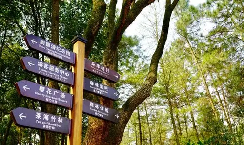 交通指南展开>公公共交通1,乘坐高安—杨圩—百峰岭公交(上午8:30,9