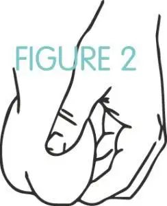 你的小蝌蚪丁丁蛋蛋到底健不健康自己操作也没问题懒蛋蛋简笔画教程