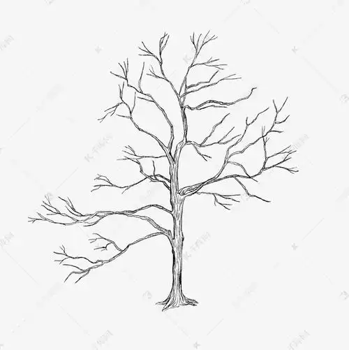 素描树干树枝线描
