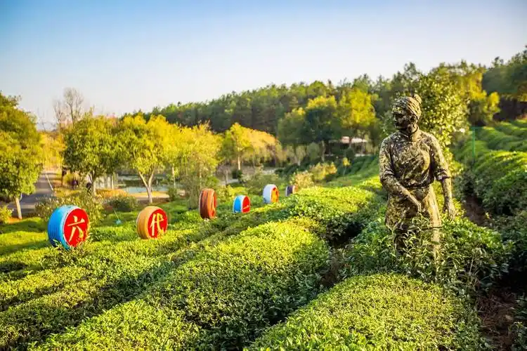 黄山谢裕大茶博园,享受茶山喝茶的温暖,这里随处都充满了惊喜_茶园
