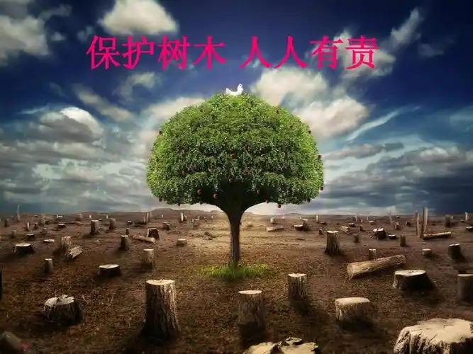 保护树木_人人有责