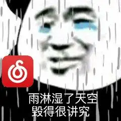 雨淋湿了天空毀得很讲究_毀得_雨淋_讲究_天空表情