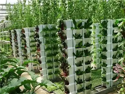 大理温室基质无土栽培造价