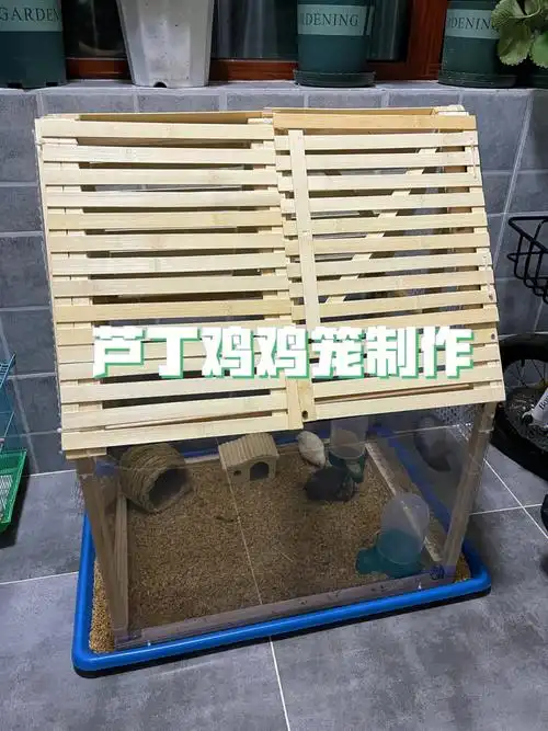 芦丁鸡鸡笼制作购买清单教你省钱简单攻略