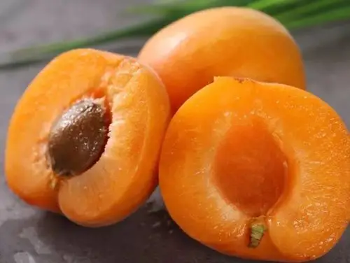 三月赏杏花,五六月吃杏果,听闻鸟语花香……春夏之