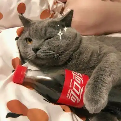猫咪喝可乐头像 念七_微信头像_我要个性网