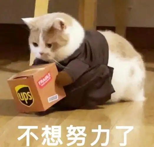 "不想努力了"猫咪快递员上岗,家有萌宠系列