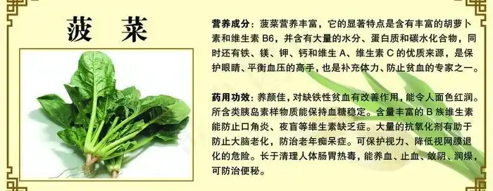 菠菜简介psd模版下载